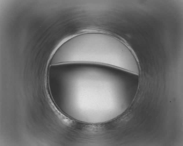 X0000081281195200701110926