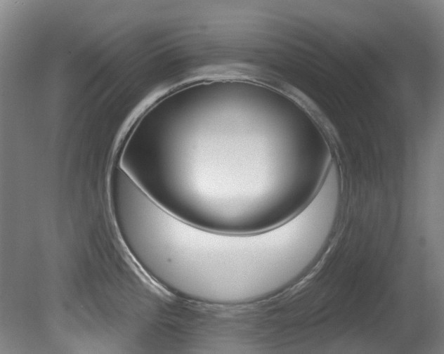 X0000081281196200701110926
