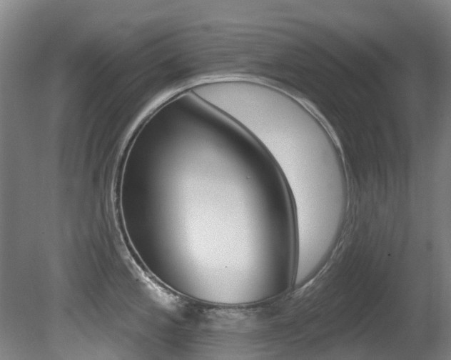 X0000081281197200701110926