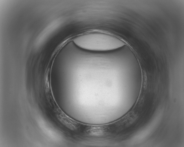 X0000081281198200701110926
