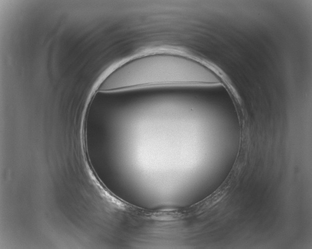 X0000081281199200701110926