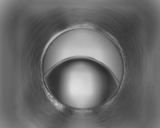 X0000081281200200701110926