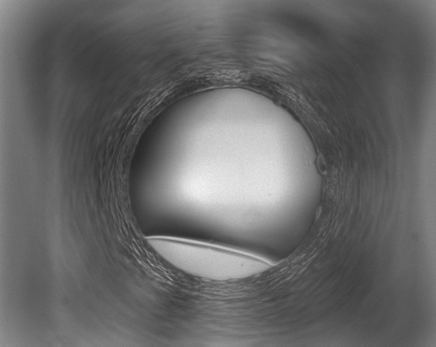 X0000081281201200701110925
