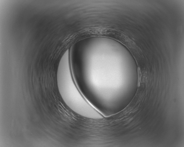 X0000081281202200701110925
