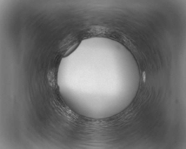 X0000081281203200701110925