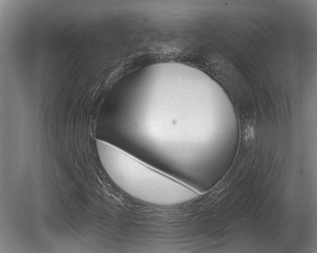 X0000081281204200701110925