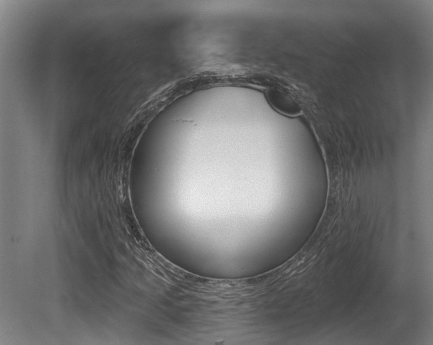 X0000081281205200701110925