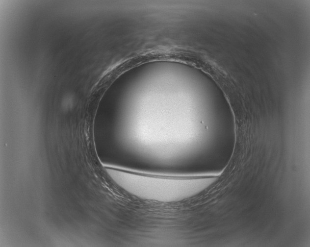 X0000081281206200701110925