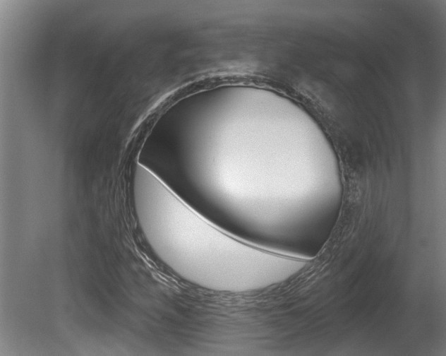 X0000081281208200701110925