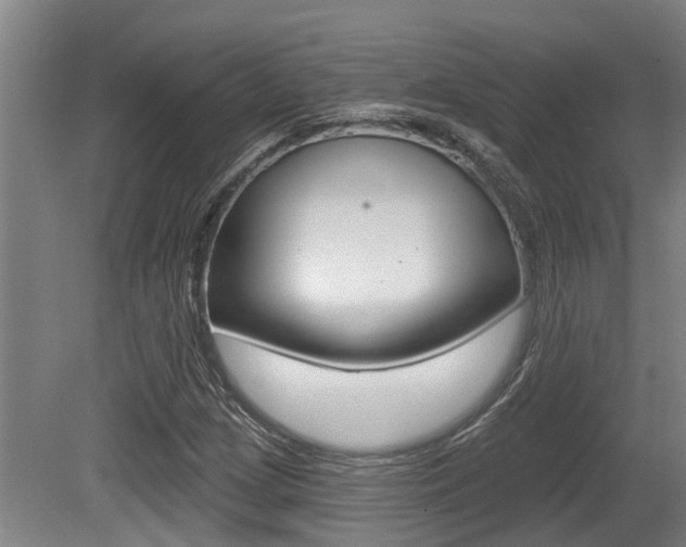 X0000081281209200701110925