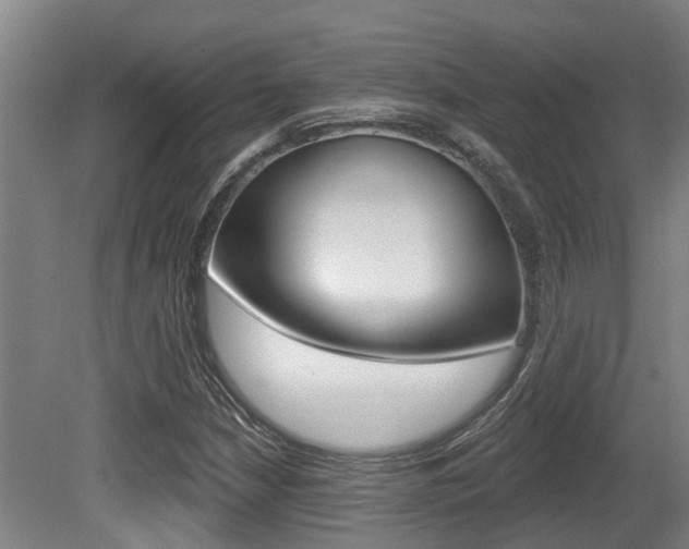 X0000081281210200701110925