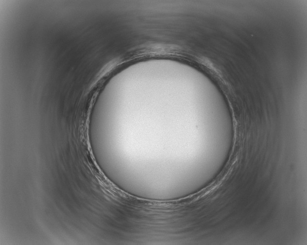X0000081281211200701110925