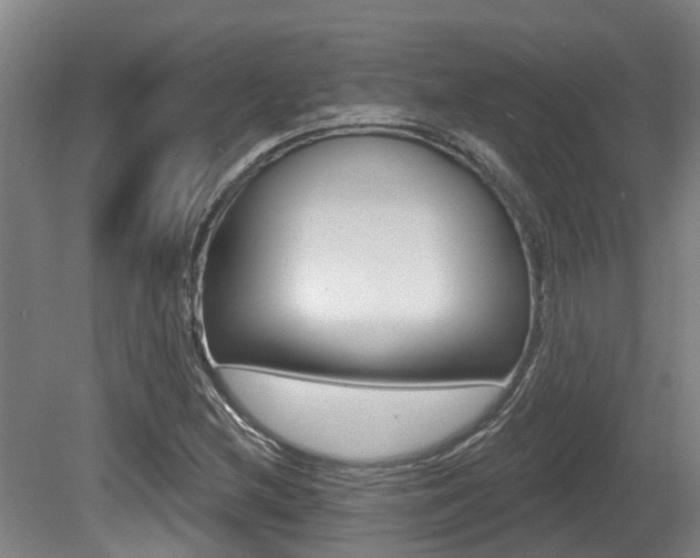 X0000081281212200701110925