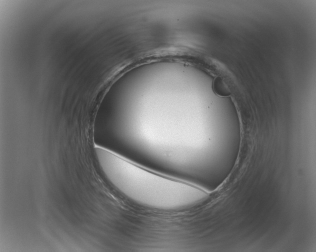 X0000081281217200701110925