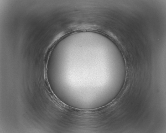 X0000081281219200701110925