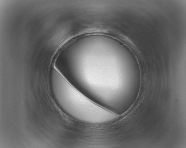 X0000081281220200701110925