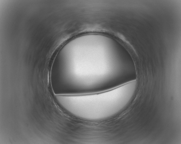 X0000081281221200701110925