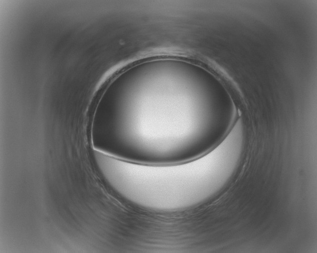 X0000081281222200701110925