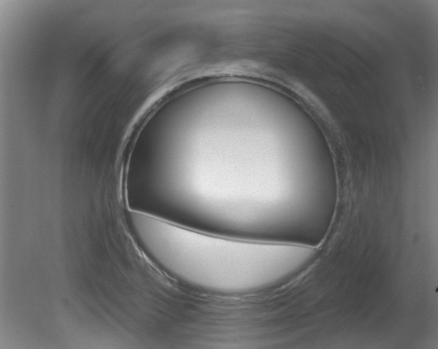 X0000081281224200701110925