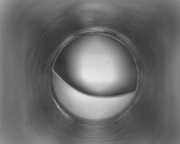 X0000081281225200701110925