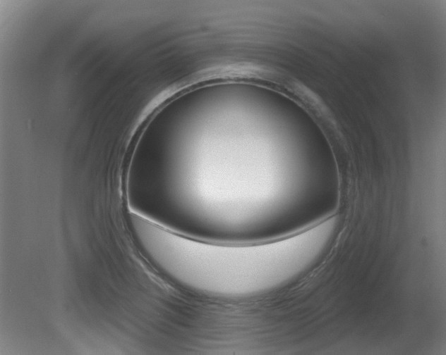 X0000081281226200701110925