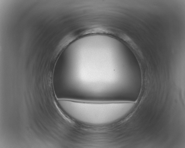 X0000081281233200701110925