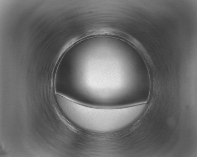 X0000081281234200701110925