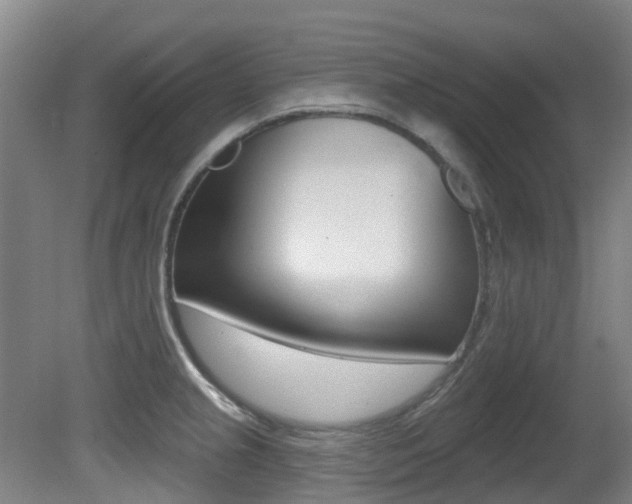 X0000081281237200701110925