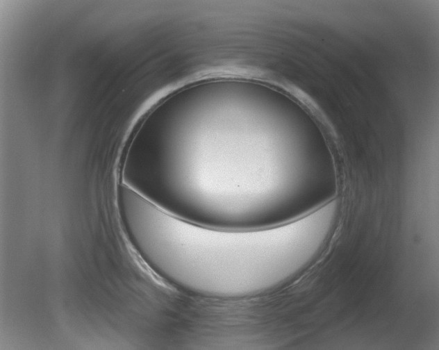 X0000081281238200701110925