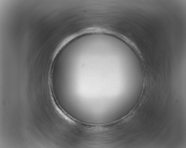 X0000081281239200701110925