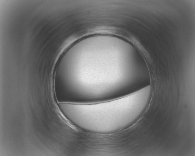 X0000081281240200701110925