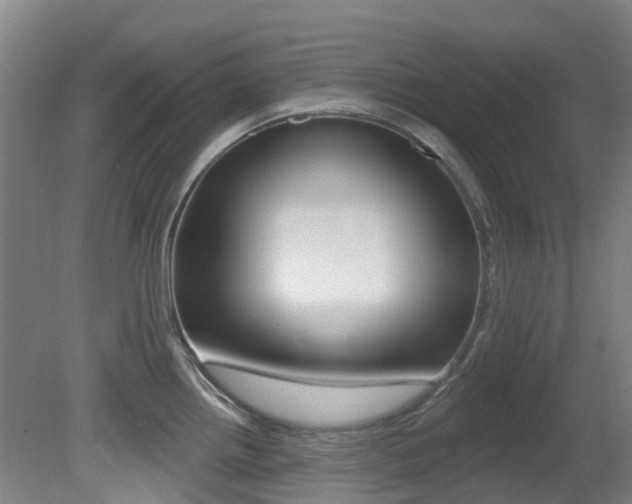 X0000081281242200701110925