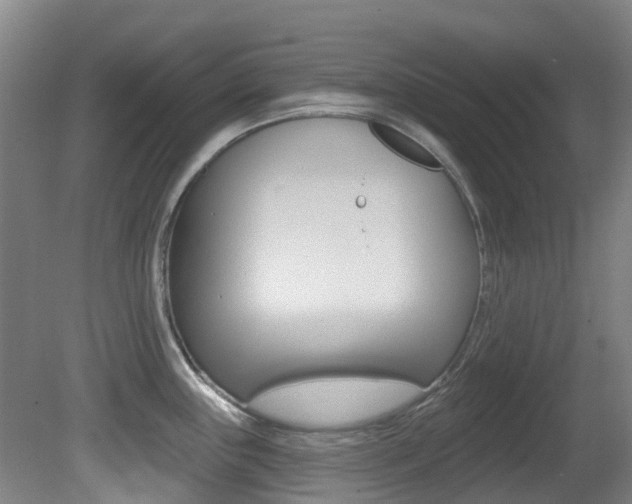 X0000081281243200701110925