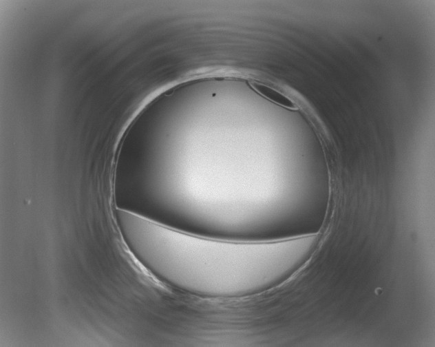X0000081281244200701110925