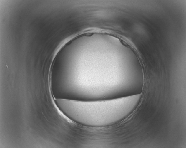 X0000081281247200701110926