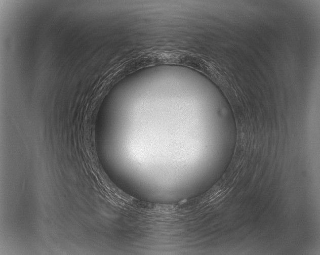 X0000081281249200701110925