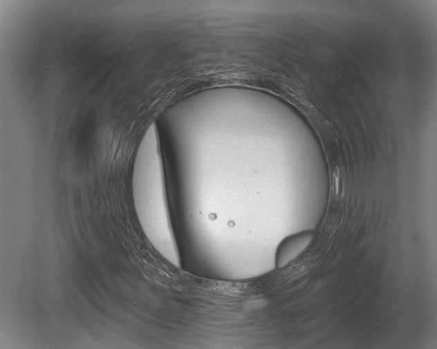 X0000081281251200701110925
