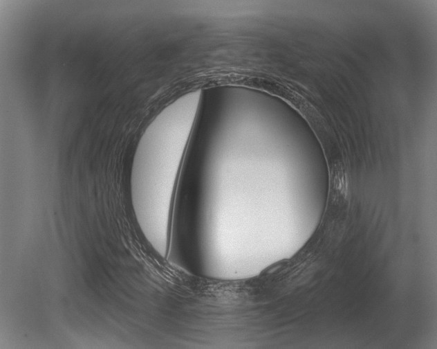 X0000081281252200701110925