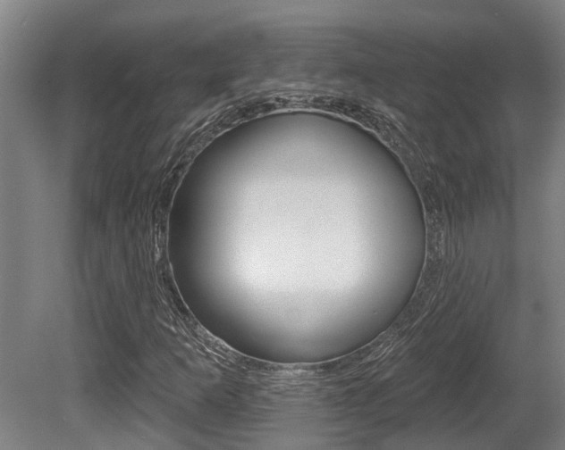 X0000081281253200701110925