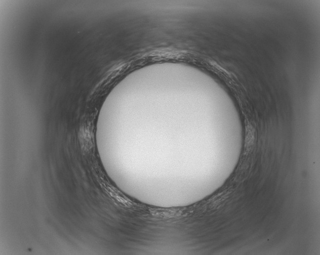 X0000081281254200701110925
