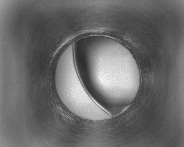 X0000081281256200701110925