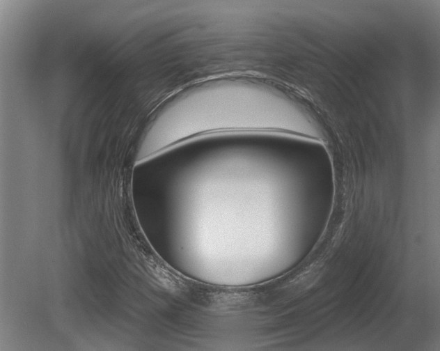 X0000081281257200701110925