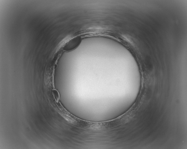 X0000081281259200701110925