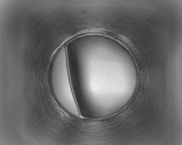 X0000081281260200701110925