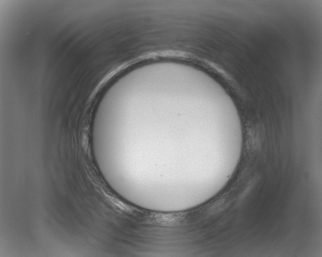 X0000081281266200701110924