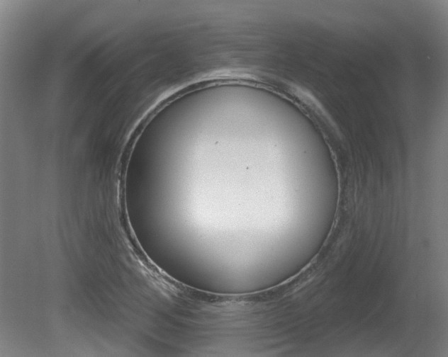 X0000081281268200701110924