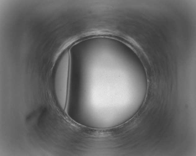 X0000081281269200701110924