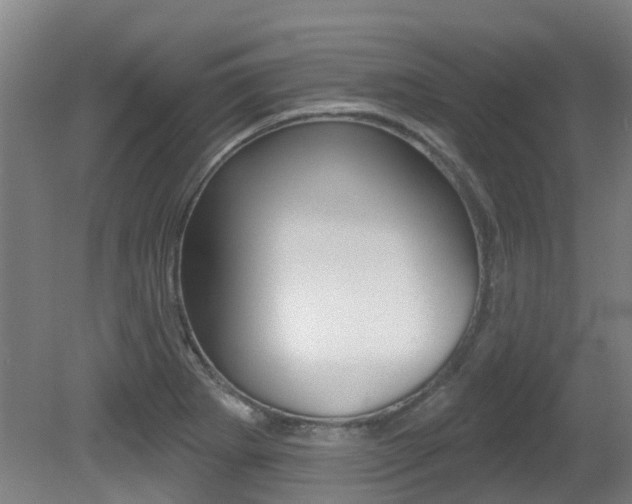 X0000081281273200701110924