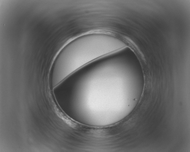 X0000081281276200701110924