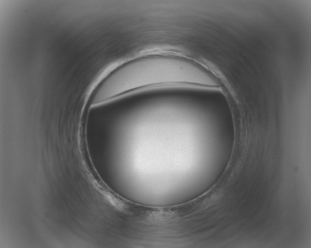 X0000081281277200701110924